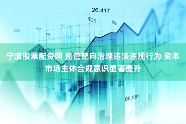 宁波股票配资网 监管靶向治理违法违规行为 资本市场主体合规意识显著提升
