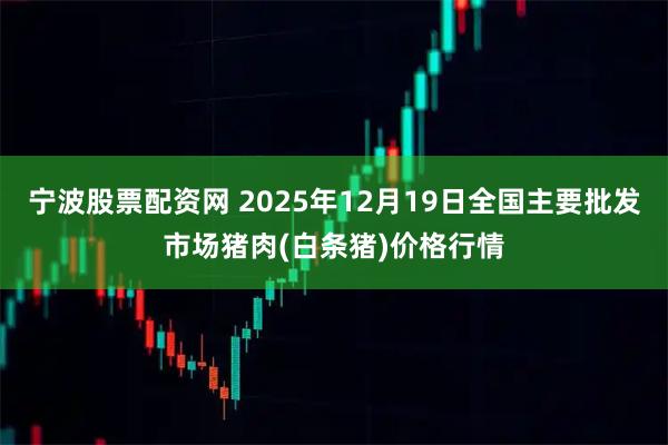 宁波股票配资网 2025年12月19日全国主要批发市场猪肉(白条猪)价格行情